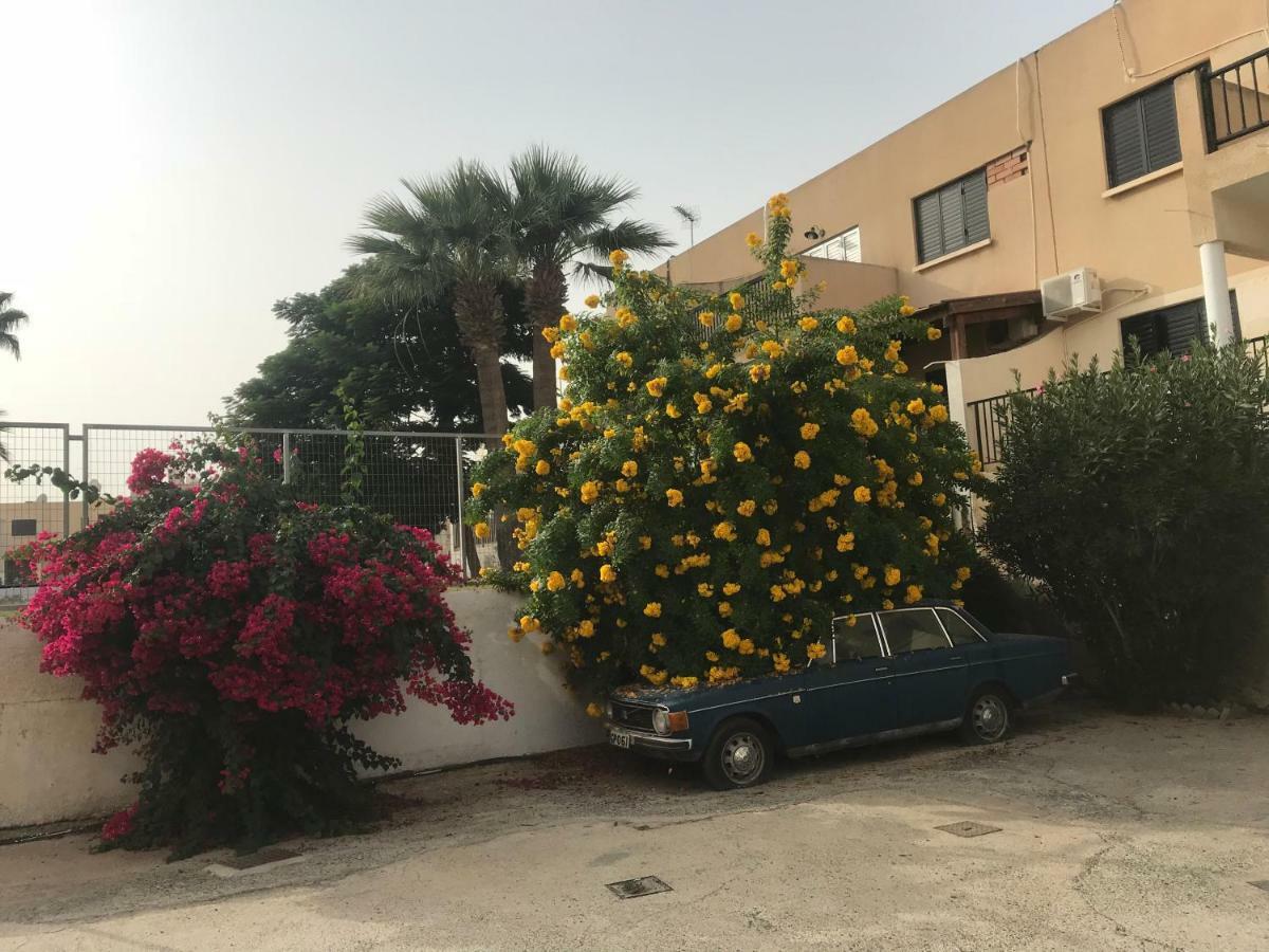 Theodoros Apt. 408 Протарас Екстериор снимка